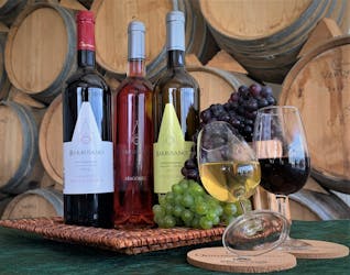 Degustaciones de vinos de Madeira y recorrido de día completo por Skywalk en 4×4 de techo abierto